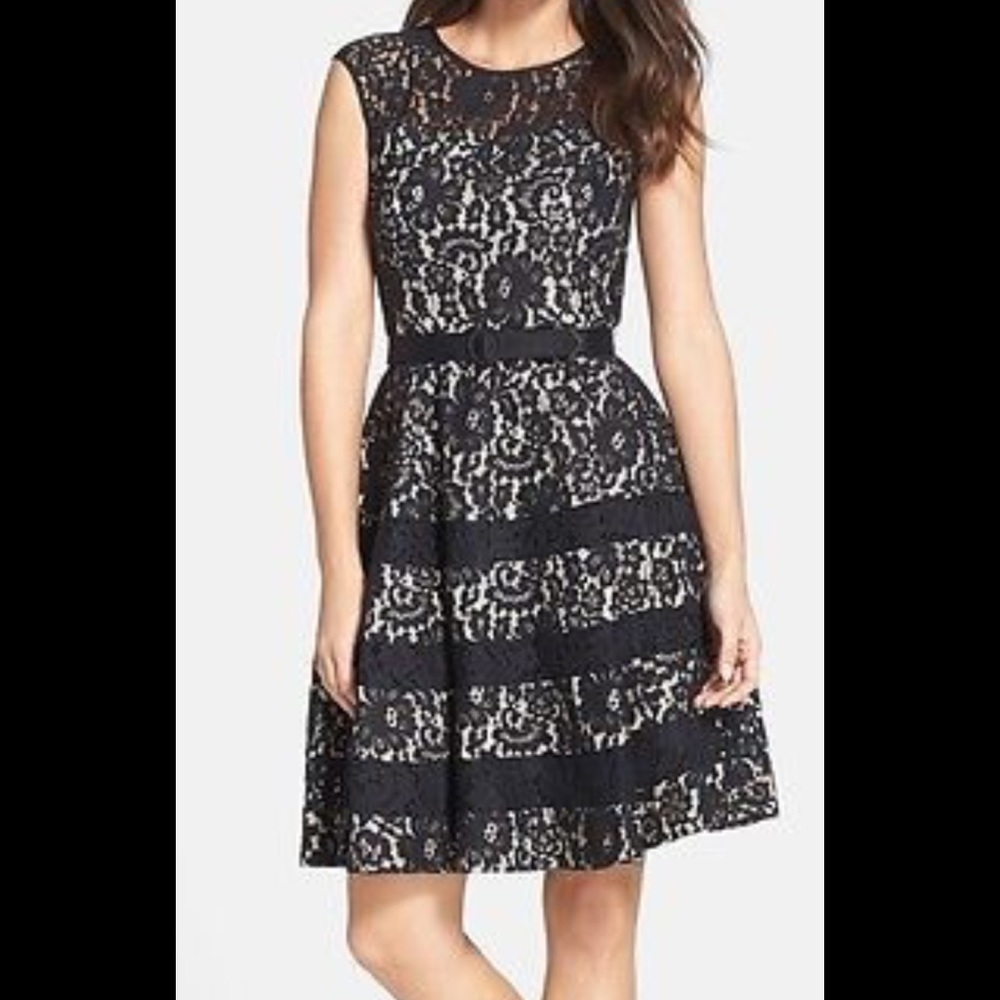 Eliza J Lace Fit and Flare Dress NEW